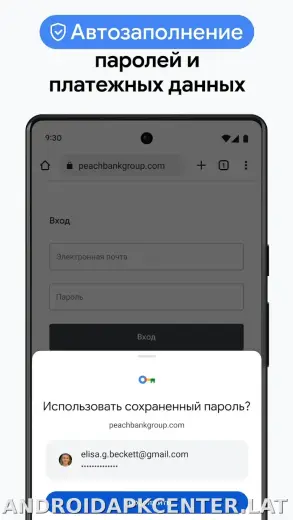 Google Chrome скриншот 6